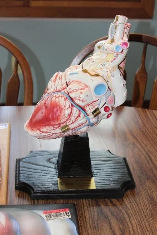 Urgent $2.8 Million Oakton Downsizing Online Auction — featured auction photograph